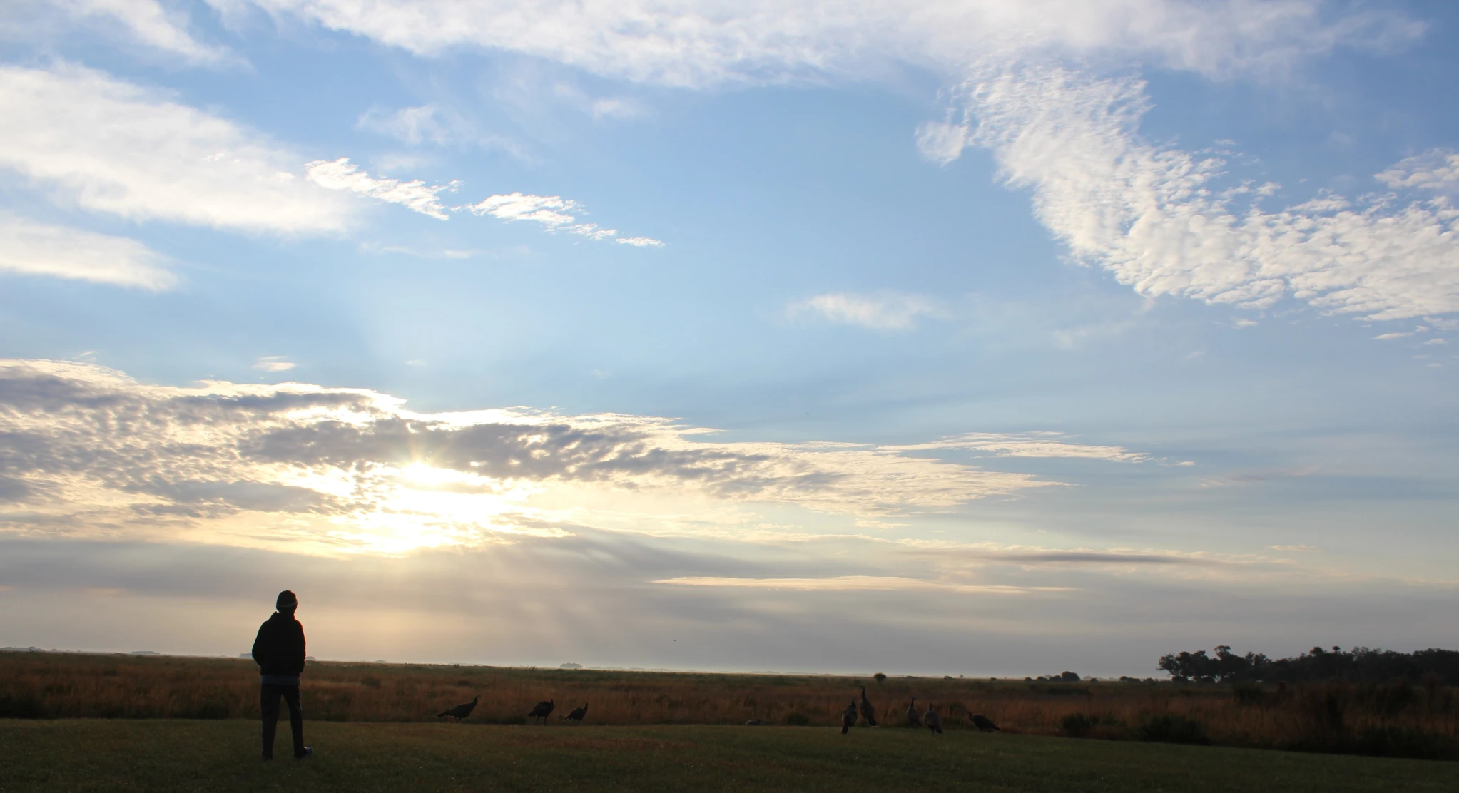 In the middle of the dash